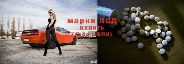 прущие грибы Пестово